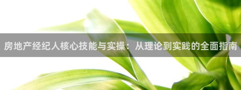 完美风暴 娱乐：房地产经纪人核心技能与实操：从理论到实践的全