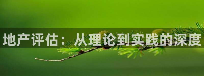 注册风暴娱乐：地产评估：从理论到实践的深度