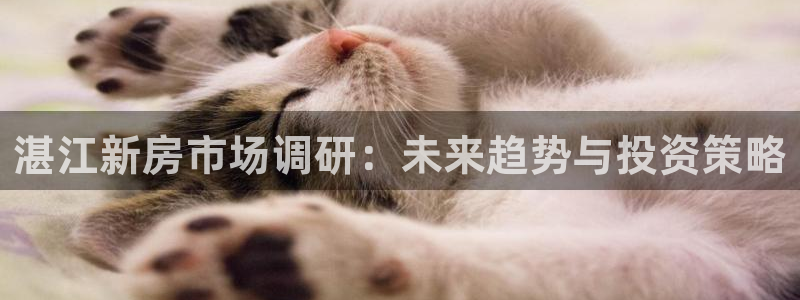 娱乐风暴App：湛江新房市场调研：未来趋势与投资策略