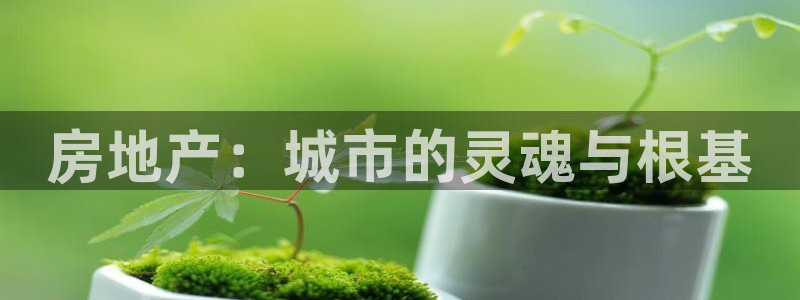 风暴娱乐记：房地产：城市的灵魂与根基