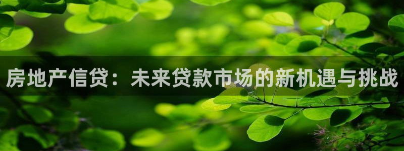 风暴娱乐图片：房地产信贷：未来贷款市场的新机遇与挑战