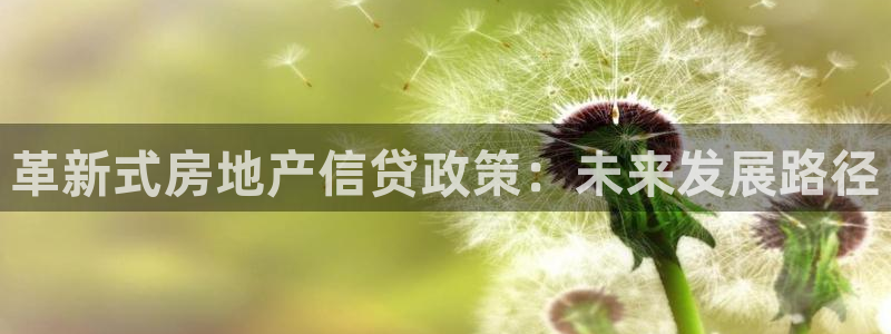 风暴娱乐自动挂：革新式房地产信贷政策：未来发展路径