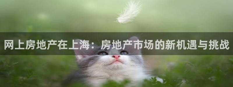 4120051风暴娱乐：网上房地产在上海：房地产市场的新机遇