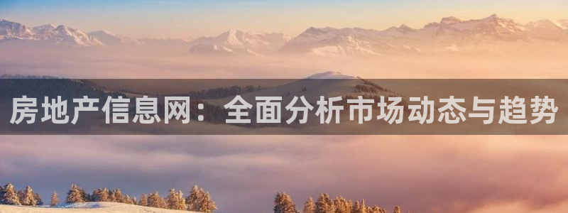 风暴新娱乐：房地产信息网：全面分析市场动态与趋势