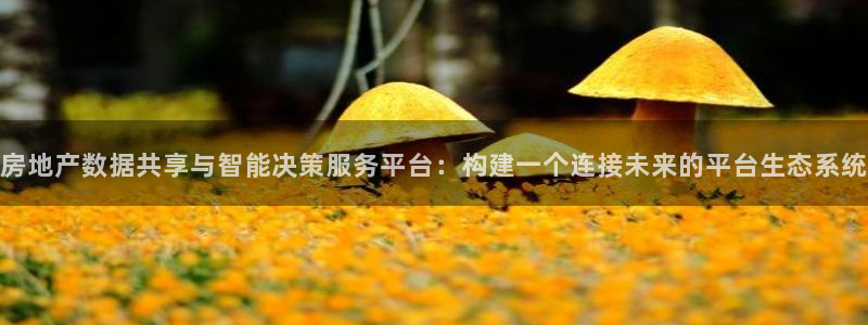 风暴娱乐套路：房地产数据共享与智能决策服务平台：构建一个连接