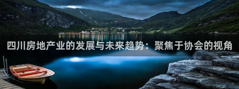 风暴娱乐主页：四川房地产业的发展与未来趋势：聚焦于协会的视角