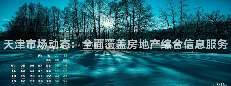 风暴娱乐派对：天津市场动态：全面覆盖房地产综合信息服务