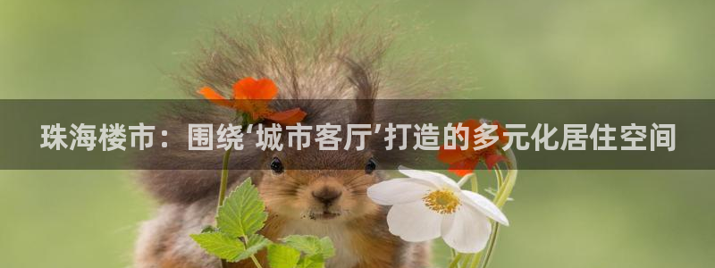 风暴娱乐有5指尖：珠海楼市：围绕‘城市客厅’打造的多元化居住