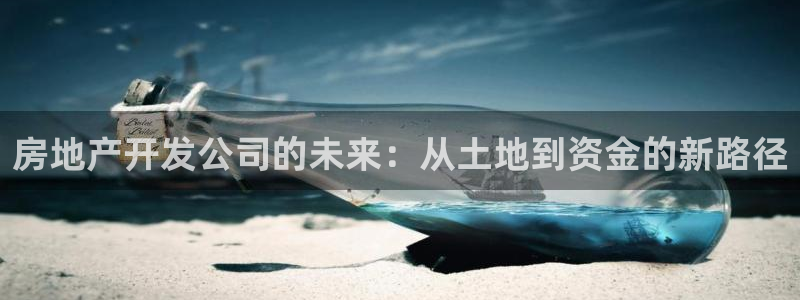 风暴英雄娱乐：房地产开发公司的未来：从土地到资金的新路径