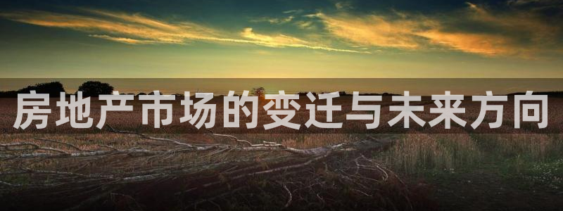 风暴娱乐地5指尖：房地产市场的变迁与未来方向
