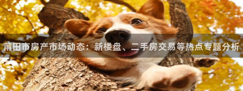 风暴大厅娱乐：莆田市房产市场动态：新楼盘、二手房交易等热点专