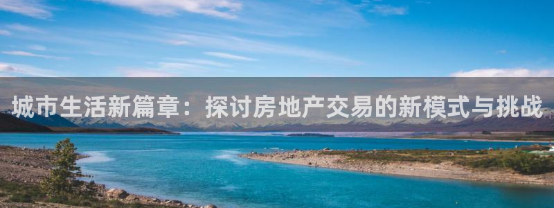 风暴娱乐首页：城市生活新篇章：探讨房地产交易的新模式与挑战