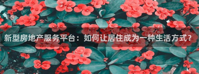 风暴娱乐 平台首页：新型房地产服务平台：如何让居住成为一种生