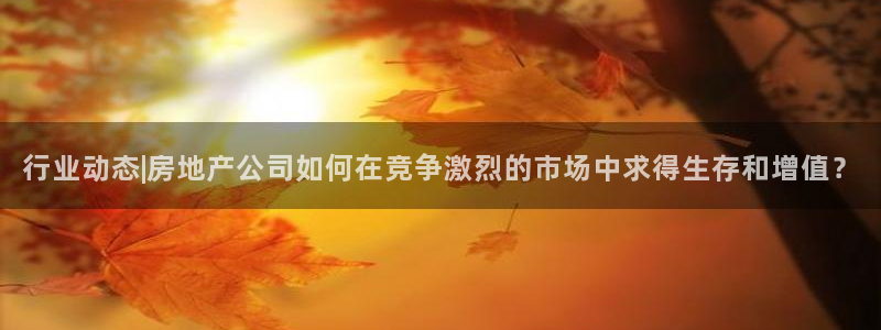 风暴娱乐主页：行业动态|房地产公司如何在竞争激烈的市场中求得