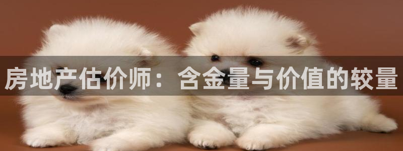 风暴娱乐拉菲8：房地产估价师：含金量与价值的较量