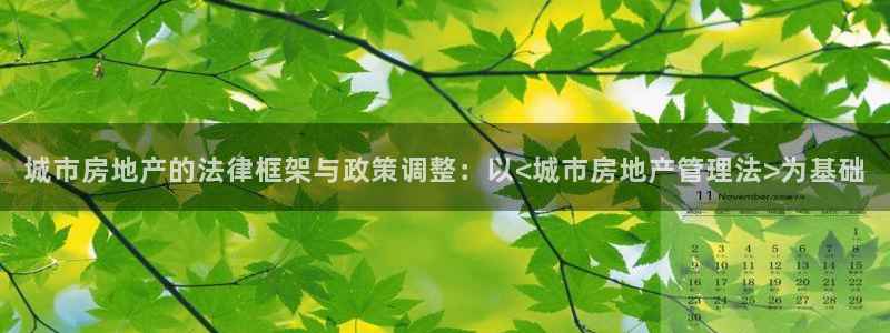 娱乐风暴2：城市房地产的法律框架与政策调整：以<城市房地产管