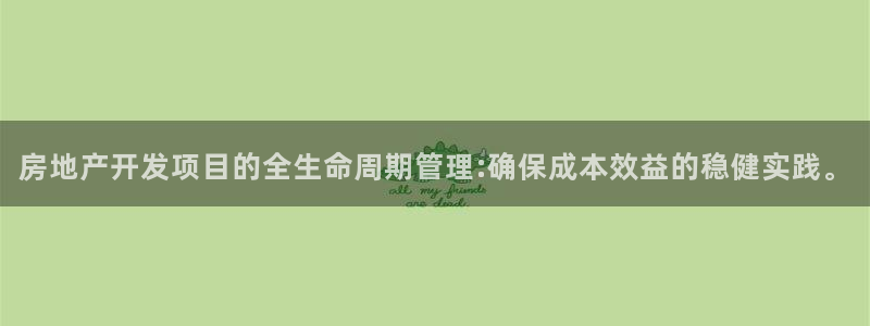 风暴娱乐待遇：房地产开发项目的全生命周期管理:确保成本效益的