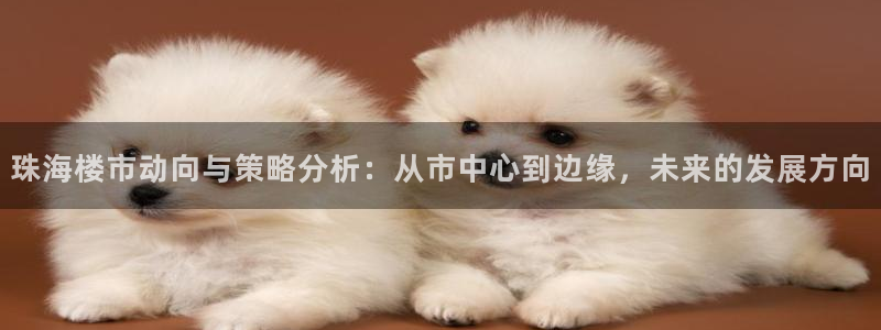 风暴娱乐老板：珠海楼市动向与策略分析：从市中心到边缘，未来的