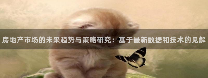 娱乐风暴2：房地产市场的未来趋势与策略研究：基于最新数据和技