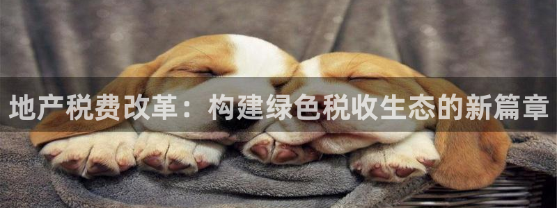 风暴娱乐记：地产税费改革：构建绿色税收生态的新篇章