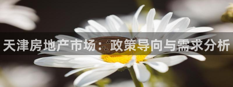 娱乐风暴开头：天津房地产市场：政策导向与需求分析