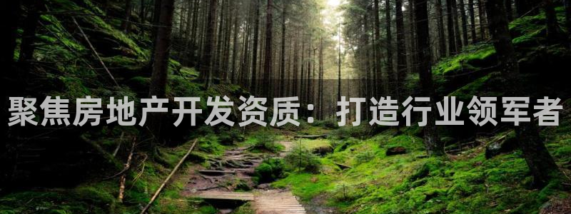 娱乐风暴二：聚焦房地产开发资质：打造行业领军者