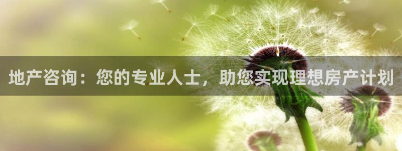 风暴娱乐记：地产咨询：您的专业人士，助您实现理想房产计划