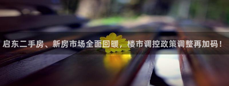 下载风暴娱乐：启东二手房、新房市场全面回暖，楼市调控政策调整