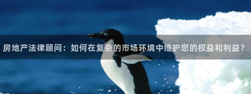 风暴娱乐这个平台靠谱：房地产法律顾问：如何在复杂的市场环境中