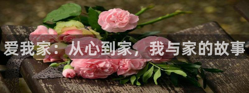 风暴娱乐代理登录：爱我家：从心到家，我与家的故事
