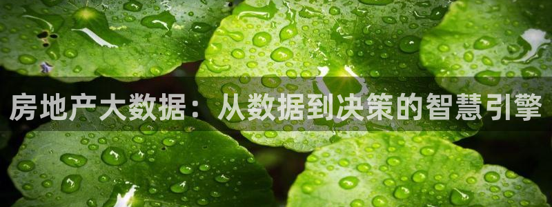 风暴娱乐派对：房地产大数据：从数据到决策的智慧引擎