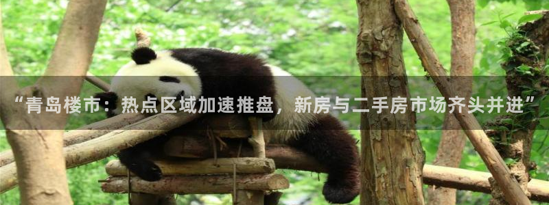 风暴娱乐主页：“青岛楼市：热点区域加速推盘，新房与二手房市场