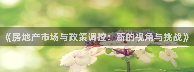 星风暴娱乐：《房地产市场与政策调控：新的视角与挑战》