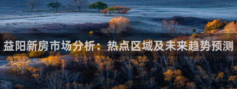 风暴娱乐字图片大全：益阳新房市场分析：热点区域及未来趋势预测