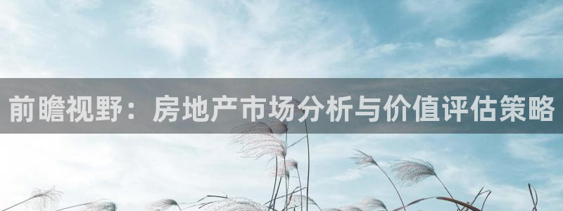光风暴娱乐：前瞻视野：房地产市场分析与价值评估策略