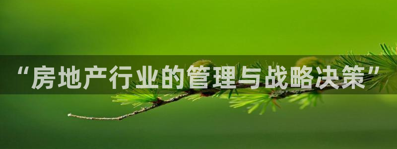 风暴数字娱乐：“房地产行业的管理与战略决策”