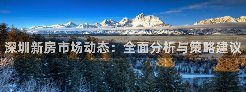风暴娱乐拉菲8：深圳新房市场动态：全面分析与策略建议