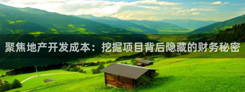 光风暴娱乐：聚焦地产开发成本：挖掘项目背后隐藏的财务秘密