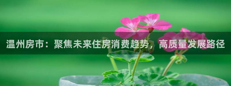 风暴娱乐 风暴注册平台：温州房市：聚焦未来住房消费趋势，高质