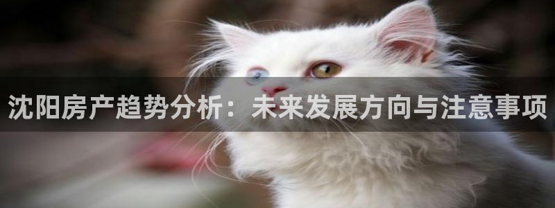 注册风暴娱乐：沈阳房产趋势分析：未来发展方向与注意事项