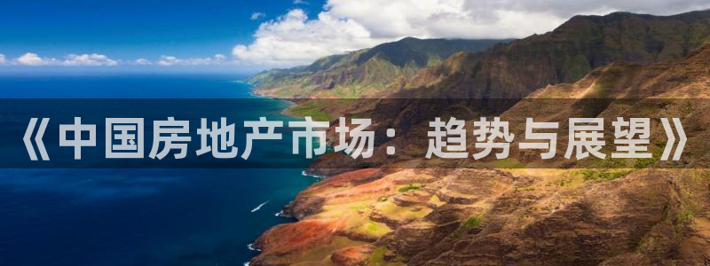 风暴大厅娱乐：《中国房地产市场：趋势与展望》