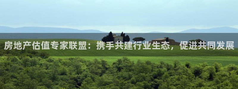 蓝色风暴娱乐：房地产估值专家联盟：携手共建行业生态，促进共同