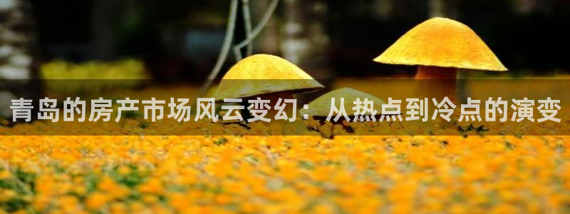 风暴娱乐1：青岛的房产市场风云变幻：从热点到冷点的演变