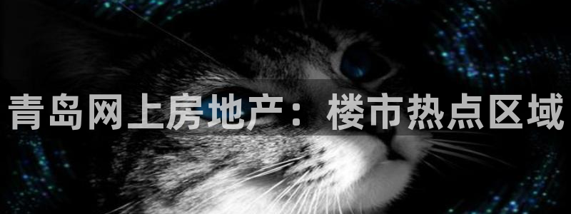 风暴娱乐注册网址：青岛网上房地产：楼市热点区域