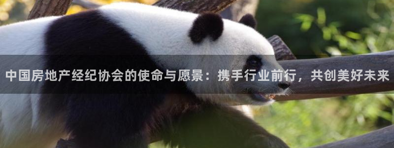 风暴娱乐号：中国房地产经纪协会的使命与愿景：携手行业前行，共