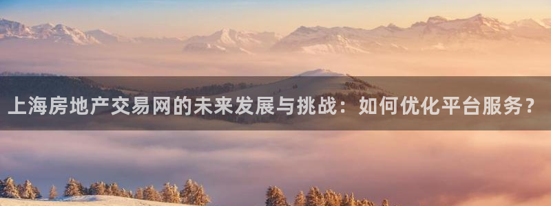 风暴娱乐 北京：上海房地产交易网的未来发展与挑战：如何优化平