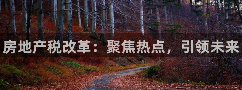 风暴娱乐汇：房地产税改革：聚焦热点，引领未来