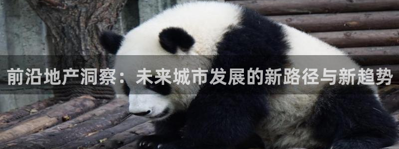 万万娱乐风暴：前沿地产洞察：未来城市发展的新路径与新趋势