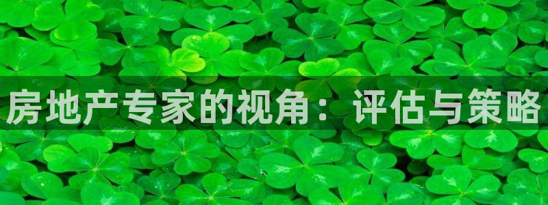 风暴娱乐园：房地产专家的视角：评估与策略