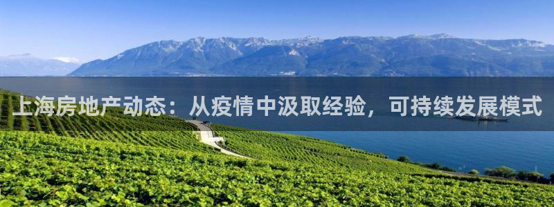 娱乐风暴二：上海房地产动态：从疫情中汲取经验，可持续发展模式